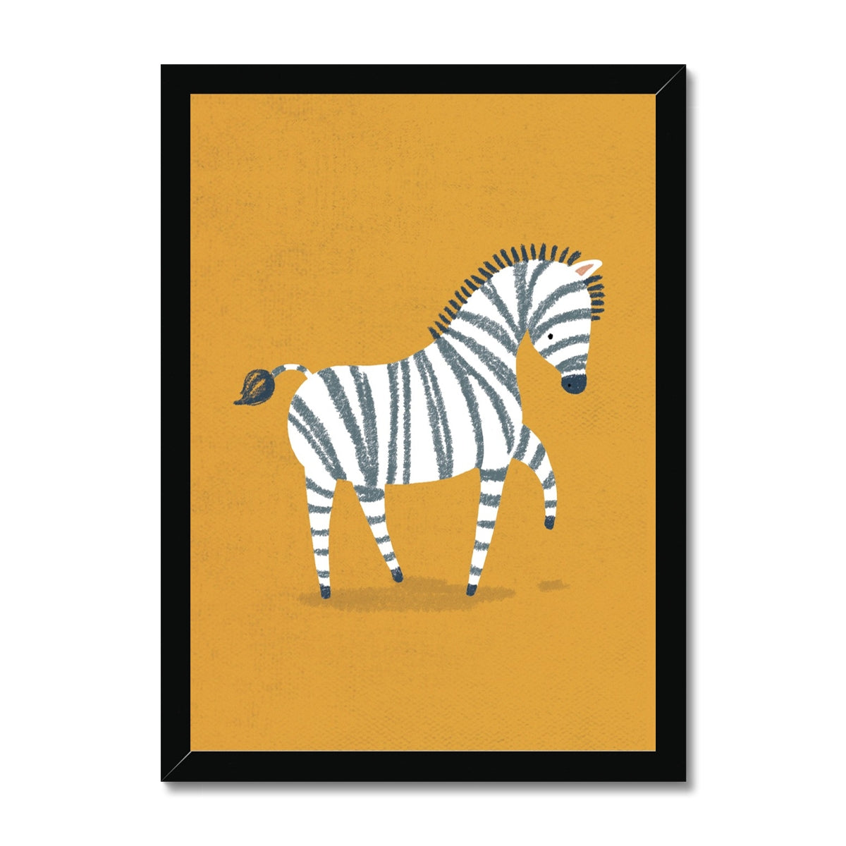 Zebra, Framed Print